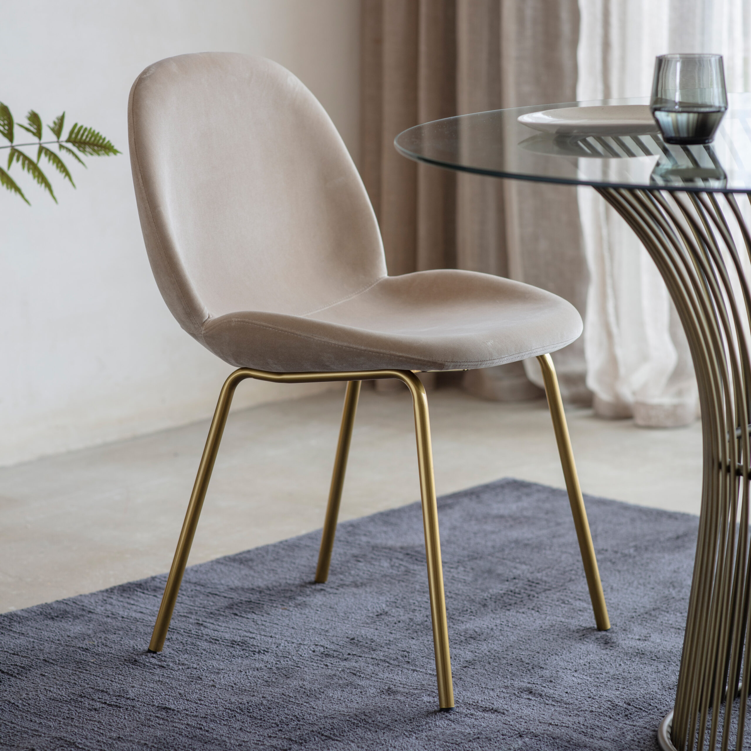 Callahan Oatmeal Velvet Dining Chairs - Set of 2 Chairs