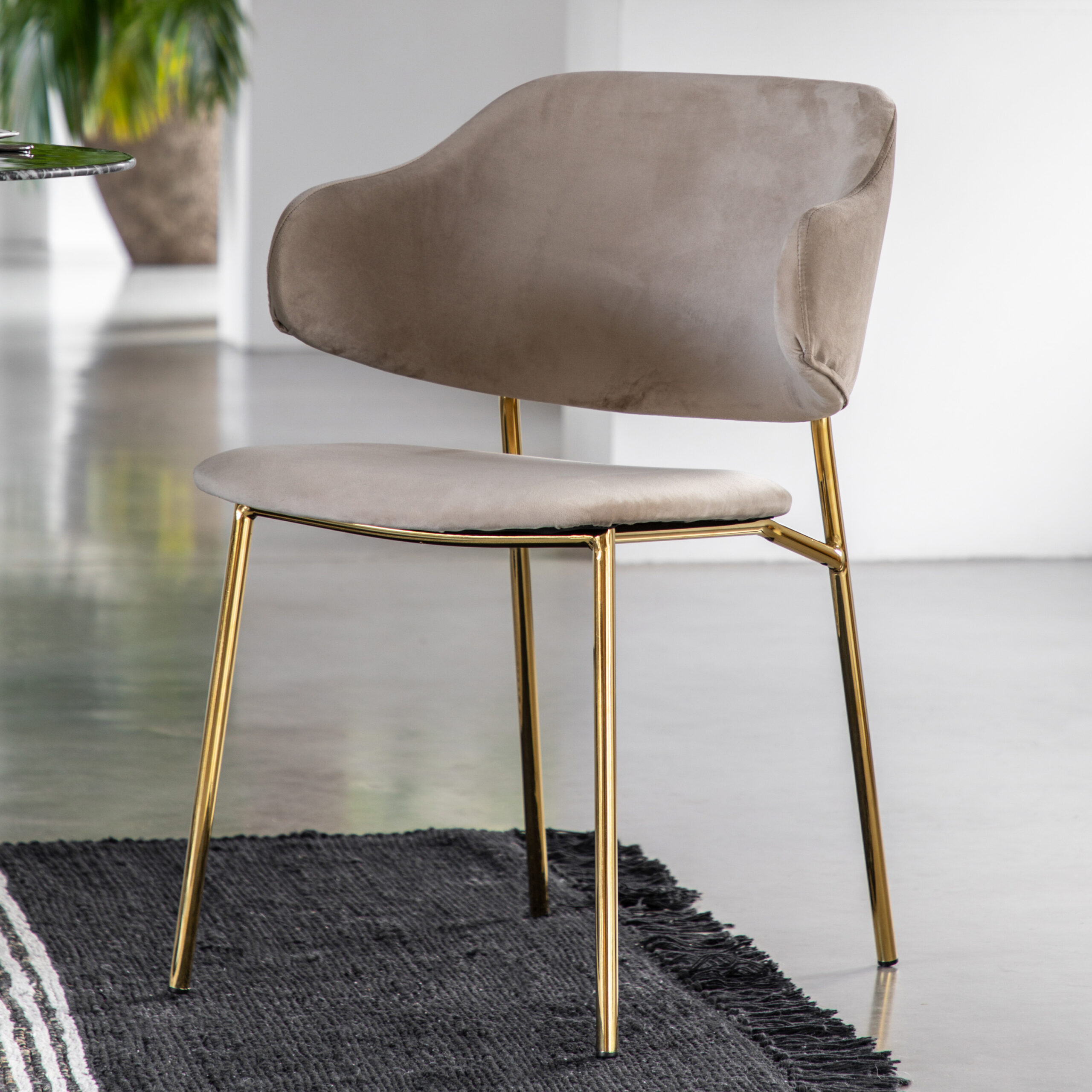 Belgravia Taupe Dining Chairs - Set of 2 Chairs